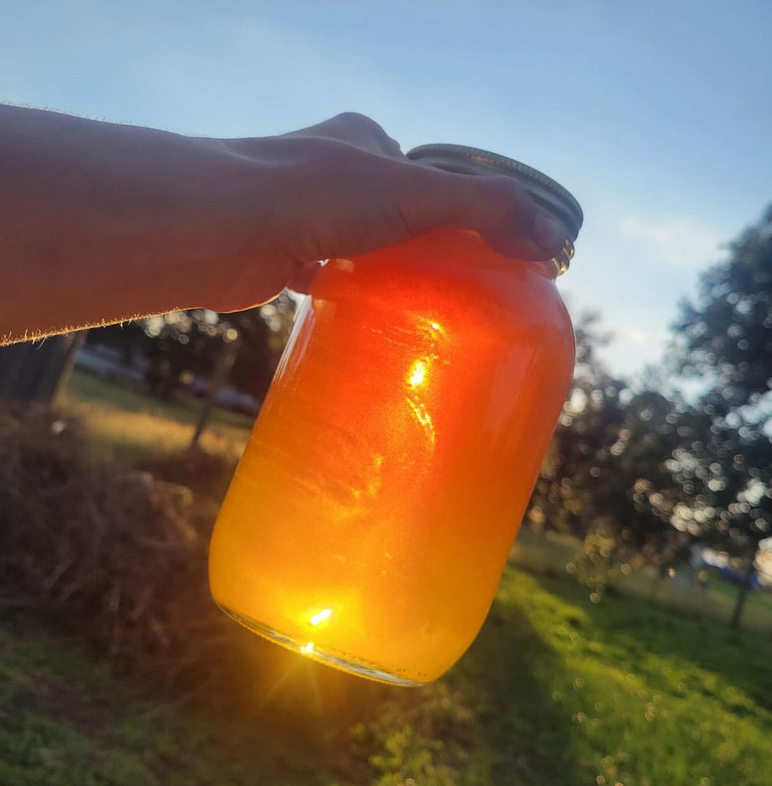 Honey Glass Jar 50oz. Net wt.