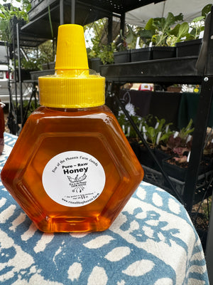 Honey Hexagon Squeeze Bottle 11oz Net wt.