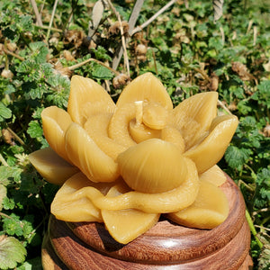 Beeswax Candle Snake in the Lotus